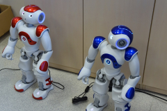 Laboratorium Robotyki - roboty Humanoidalne
